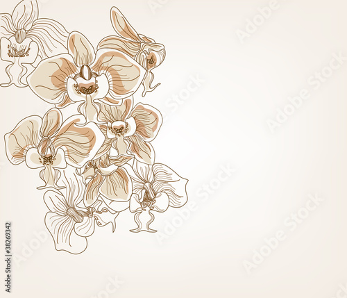 Sfondo con orchidea disegnata a mano libera