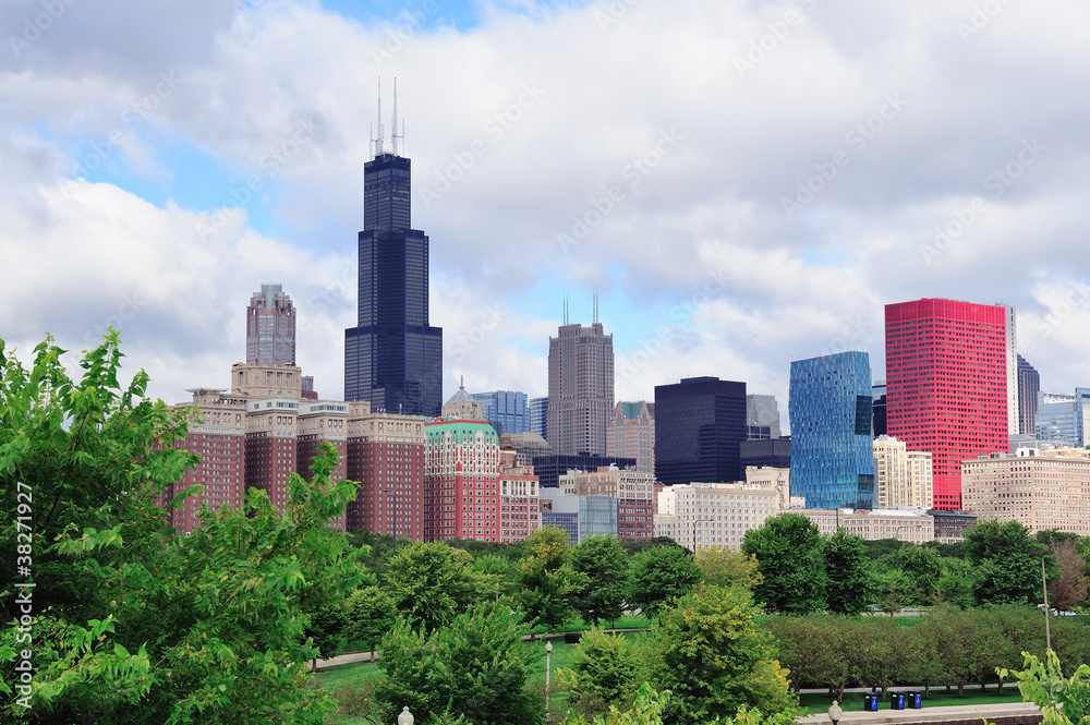 Chicago skyline over park
