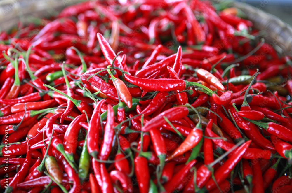 hot thai peppers
