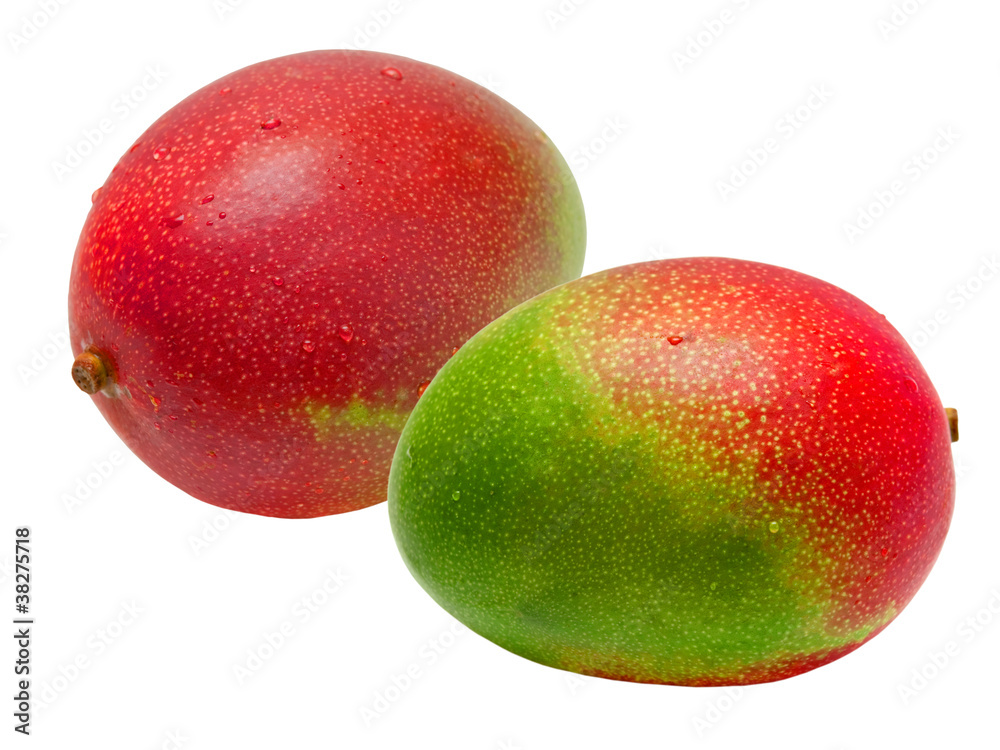 Mango isolated on white background Mango isolated on white background