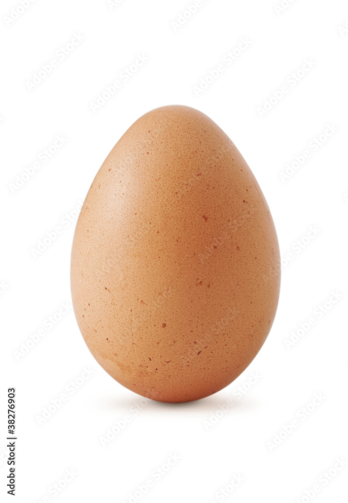 Egg Egg