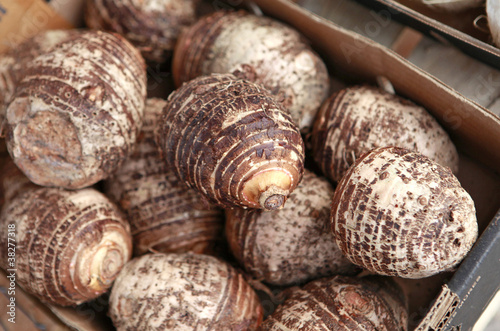 beautiful taro roots