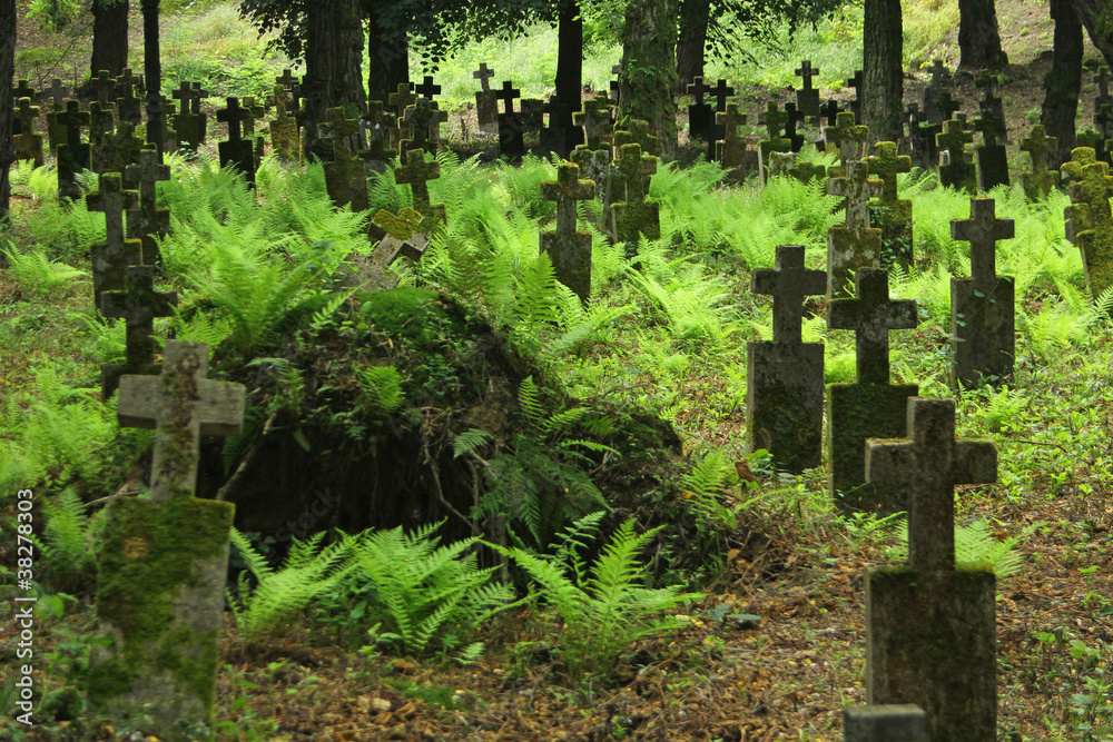 Old 19th century graveyard in Khust, Ukraine Old 19th century graveyard in Khust, Ukraine
