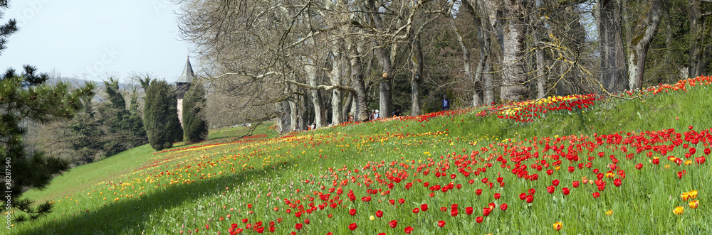 Obraz premium Frühling auf Mainau