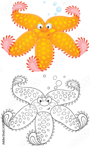 Starfish