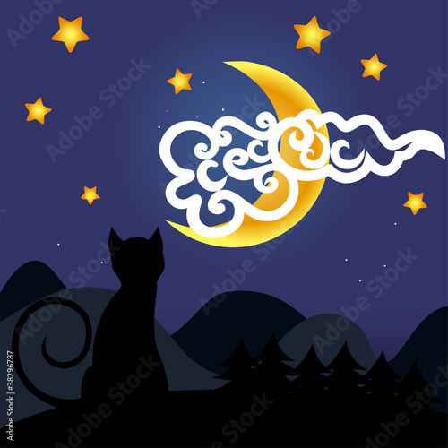 cat and moon