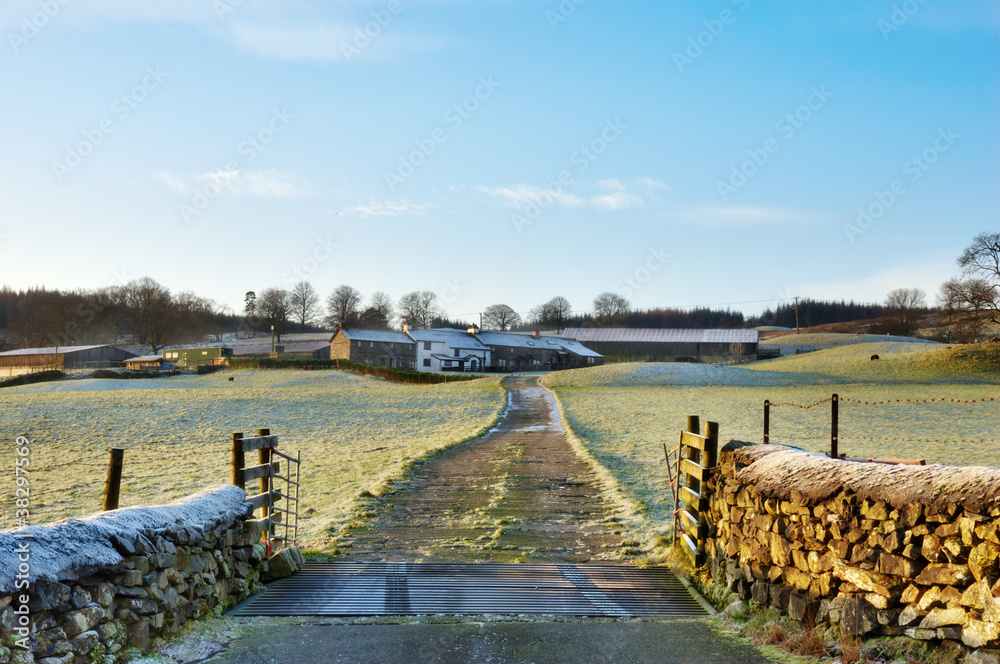 Fototapeta premium Frosty Farm Lane Hawkshead, English Lake District