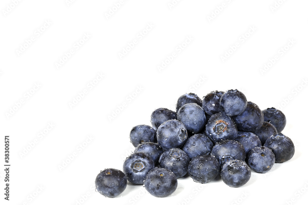 Balubeeren Balubeeren