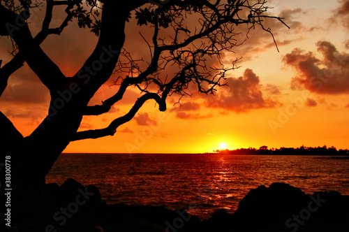 Tropical sunset on the Big Island. Hawaii. USA.