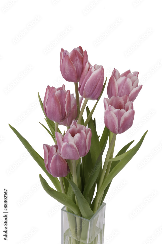 Zoom on a bunch of Tulips in a vase (top view). Zoom on a bunch of Tulips in a vase (top view).