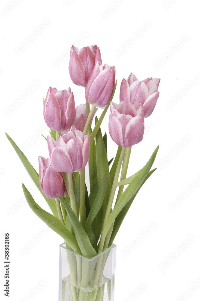 Zoom on a bunch of Tulips in a vase