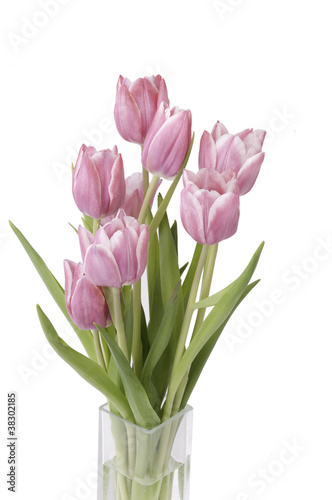 Zoom on a bunch of Tulips in a vase