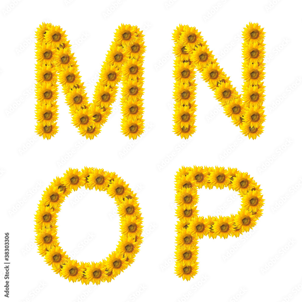 sunflower alphabet isolated on white background