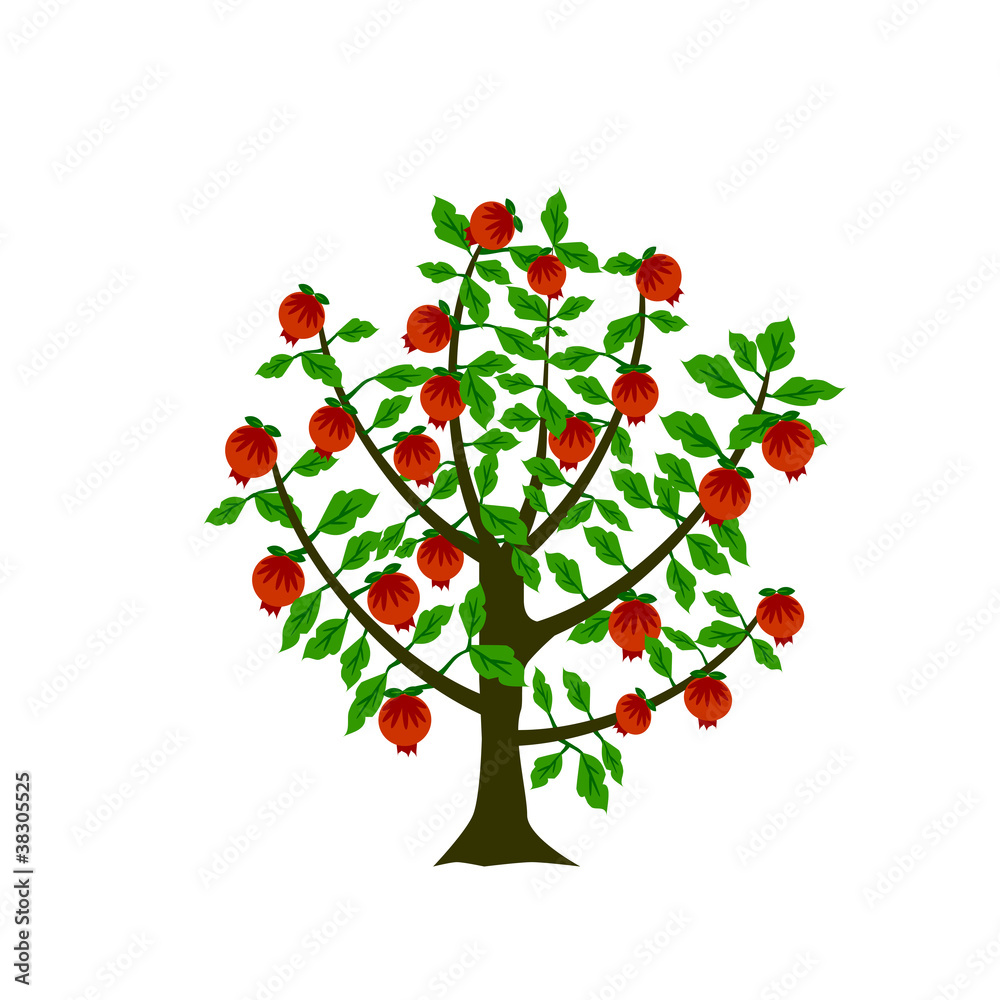 Naklejka Pomegranate tree