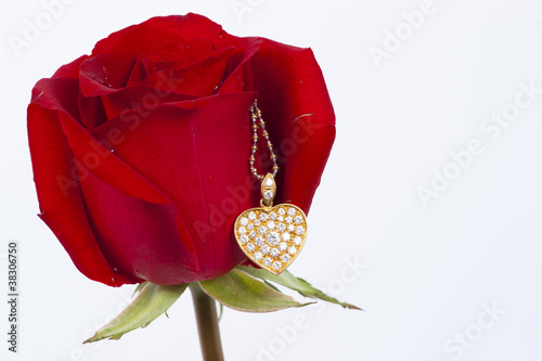 Diamond heart shape pendant and red rose