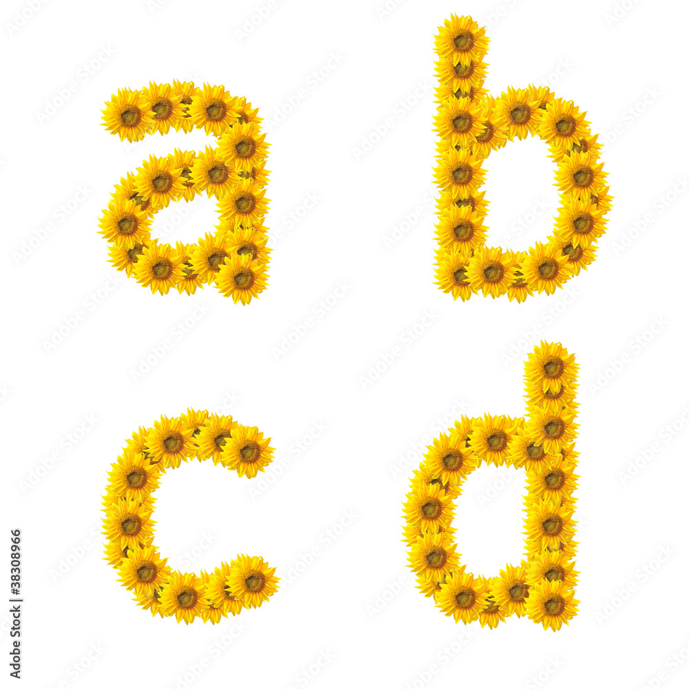 sunflower alphabet isolated on white background