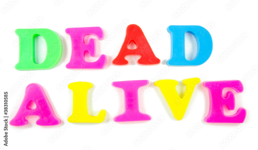dead and alive written in fridge magnets dead and alive written in fridge magnets