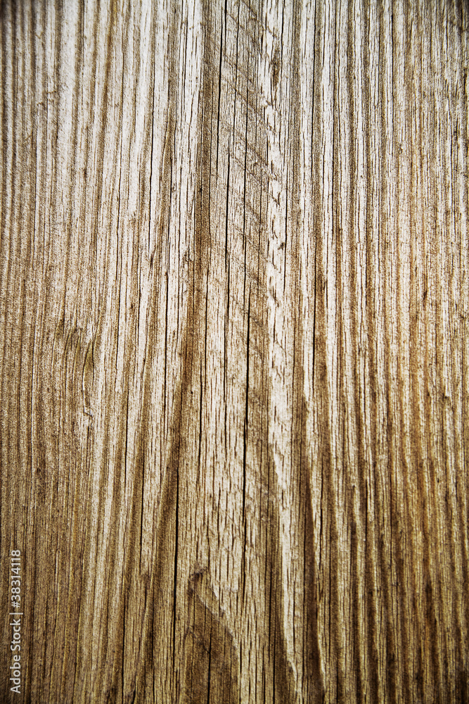 Structure of a wooden surface as a natural background Structure of a wooden surface as a natural background