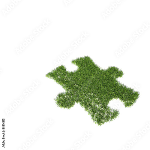 Green grass growing as a pu...