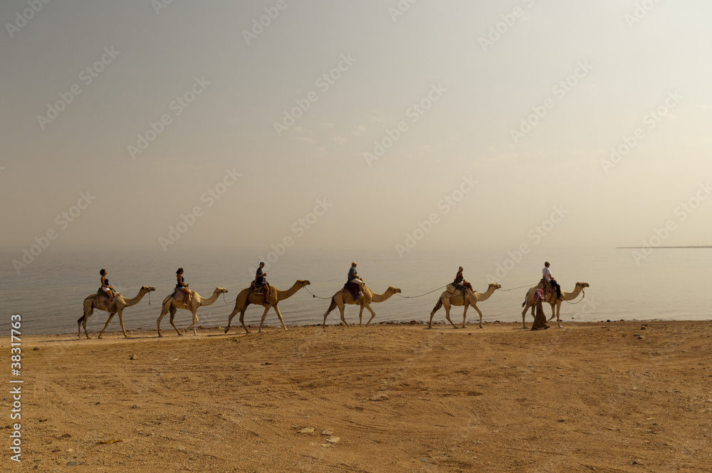 Egypt