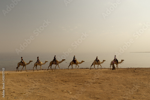 Obraz na płótnie Egypt w salonie