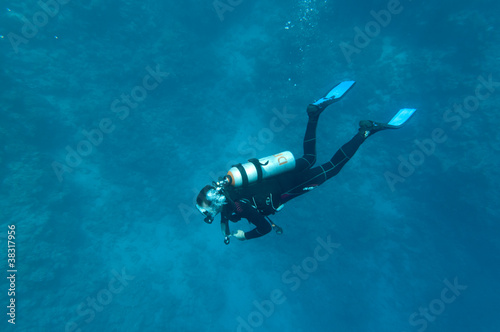 Obraz na płótnie Underwater w salonie