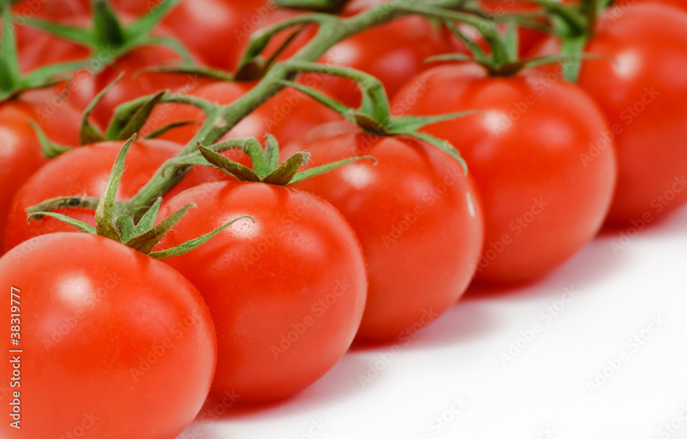 branch of the tomato branch of the tomato