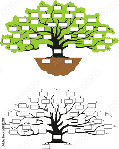 family tree