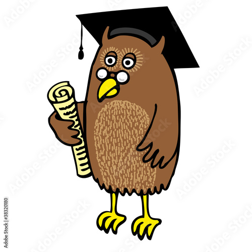 Gradation Owl
