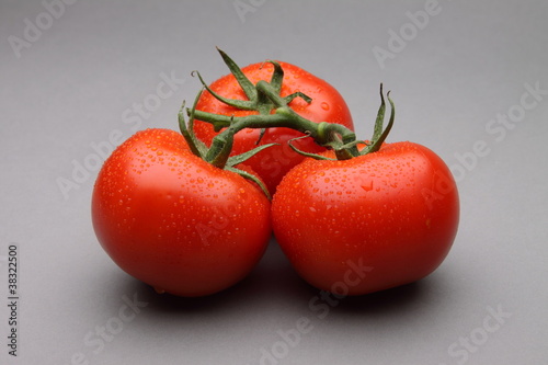 Vine tomatoes on grey