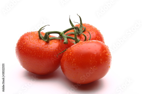 Vine tomatoes on white