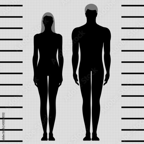 male and female body templates