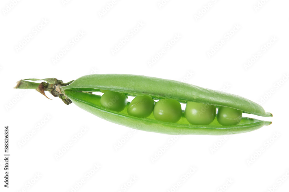 Sugar Snap Pea