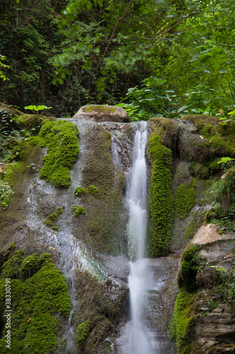 watrefall in forest