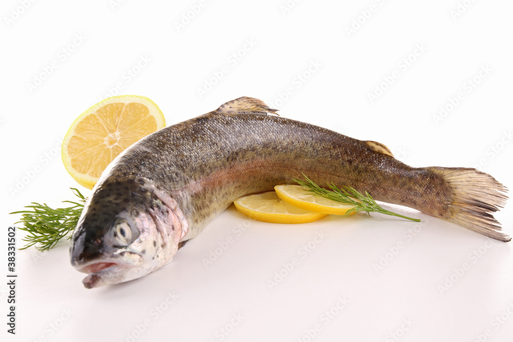 Fototapeta premium raw trout on white