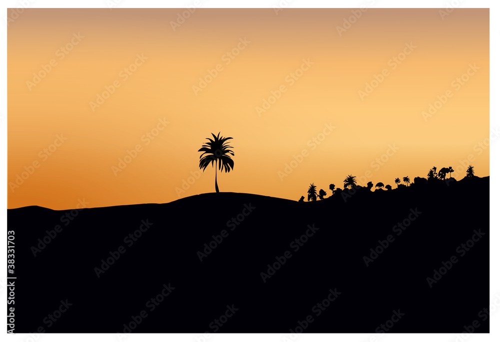 dark silhouette of sand and trees at sunset