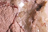 Detail - Pyrit mit Bergkristall