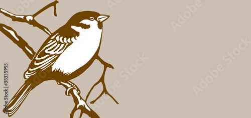 bird silhouette on brown background photo