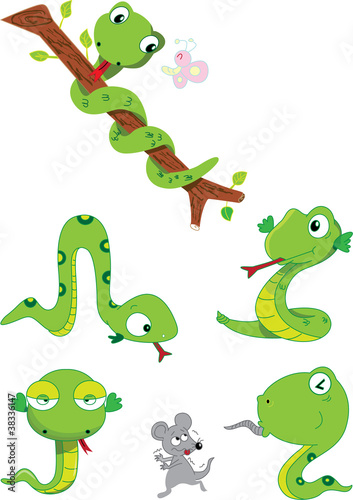 Fototapeta Naklejka Na Ścianę i Meble -  set of funny snake