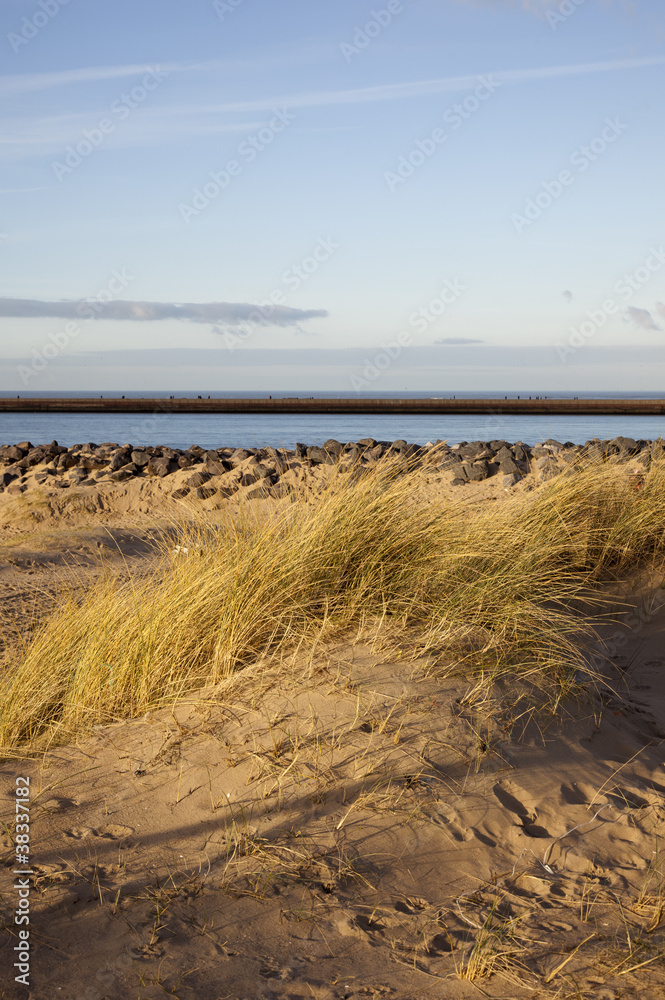 dutch dunes with blue sky