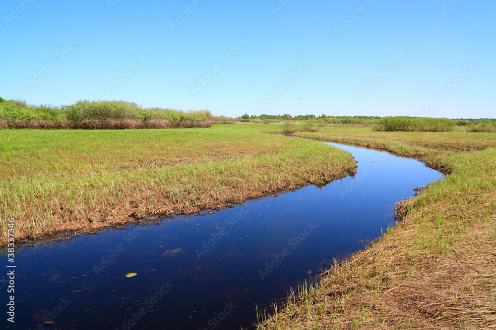 small river on spring field small river on spring field