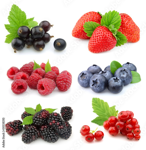 Collection of sweet berries