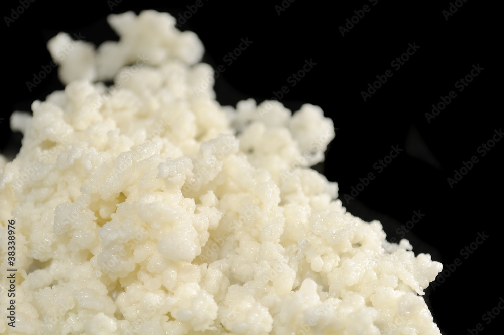 Tibetan Healing Fungus (Milk or Kefir Mushroom) on Black Tibetan Healing Fungus (Milk or Kefir Mushroom) on Black