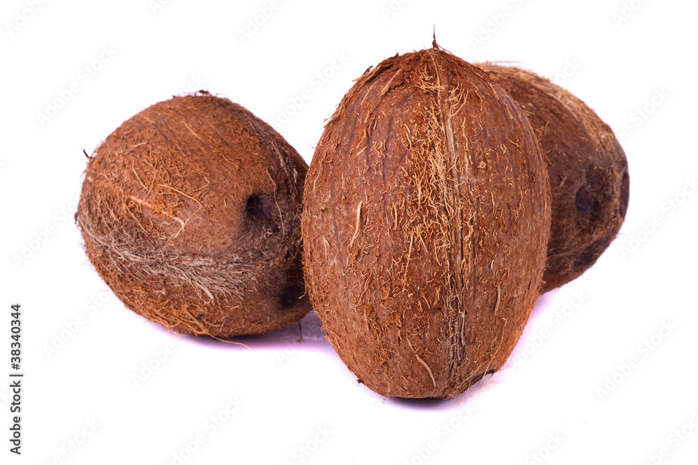 coconuts on white