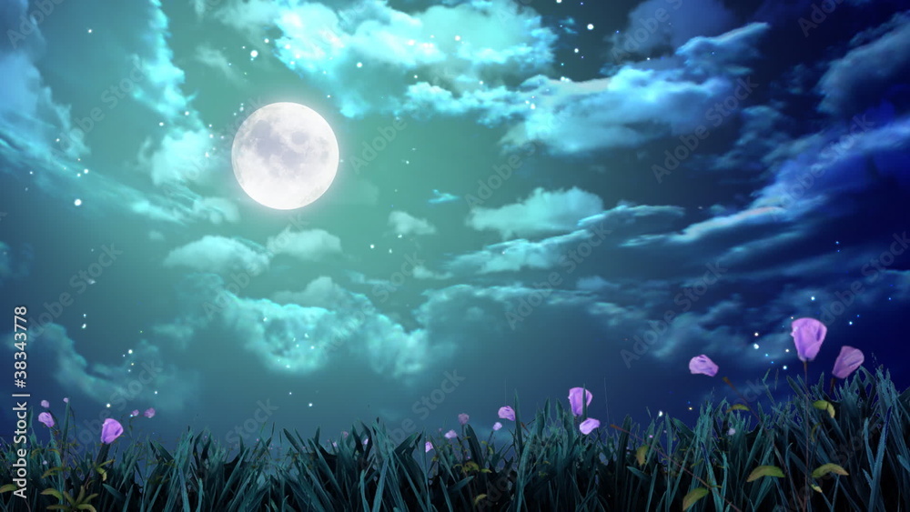 night moon and flowers
