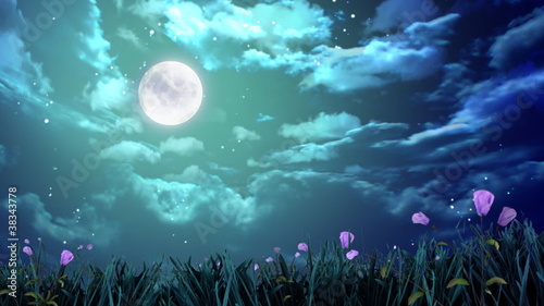 night moon and flowers