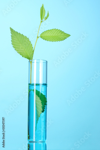 test tube with plants on blue background