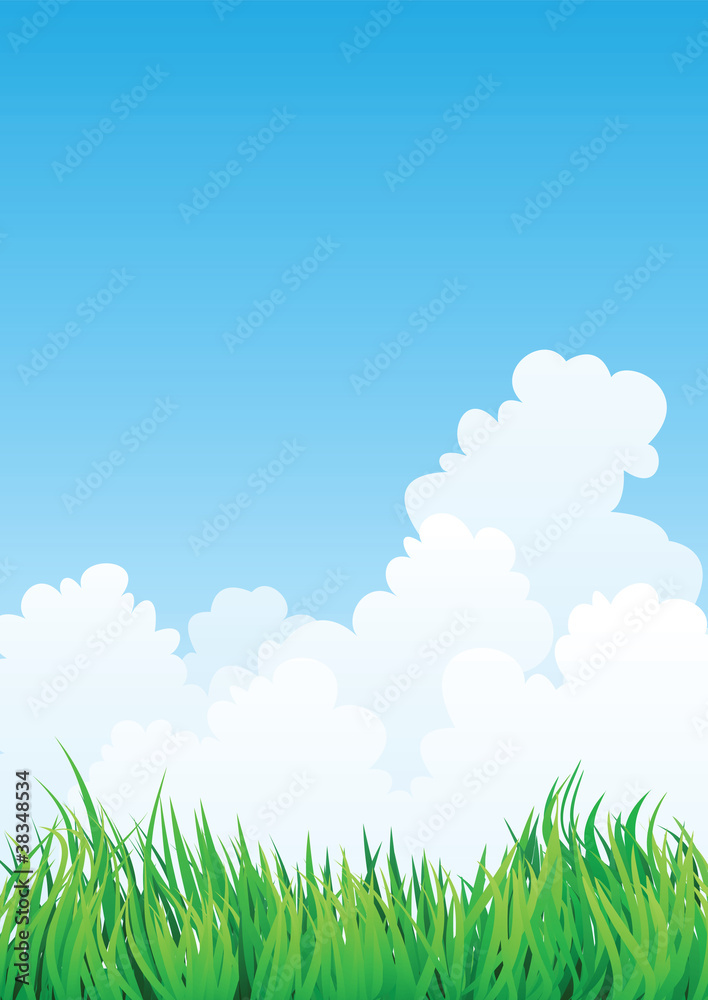 grass field and blue sky