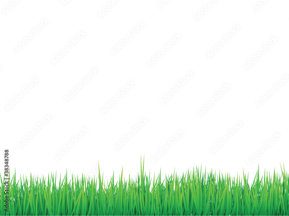 grass borders background grass borders background