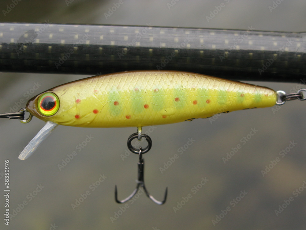 Fishing lure Fishing lure
